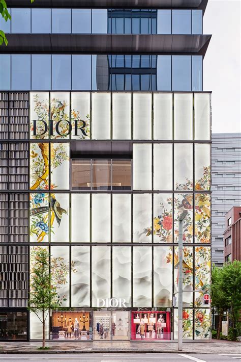 dior laduree ginza|Dior Ginza.